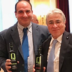 画像11: クアットロチョッキ社　イトラーナ種　2024年秋収穫　インテンスフルーティーエクストラバージンオリーブオイル